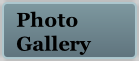 Photo 
Gallery
