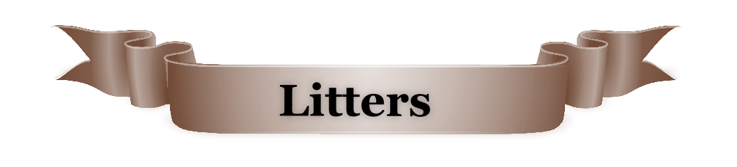                            Litters 

