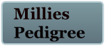 Millies 
Pedigree
