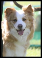 Zoey
