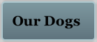 Our Dogs
