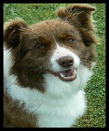 Abbie
