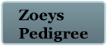 Zoeys
Pedigree
