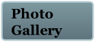 Photo 
Gallery
