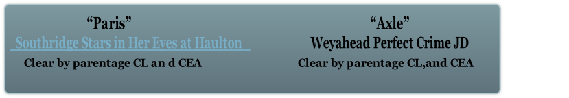         Clear by parentage CL an d CEA                                   Clear by parentage CL,and CEA                                 
                 
