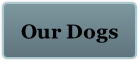 Our Dogs
