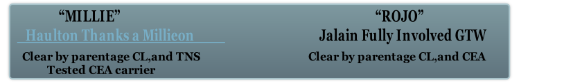         Clear by parentage CL,and TNS                                       Clear by parentage CL,and CEA                                 
                 Tested CEA carrier
