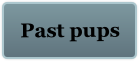  Past pups
